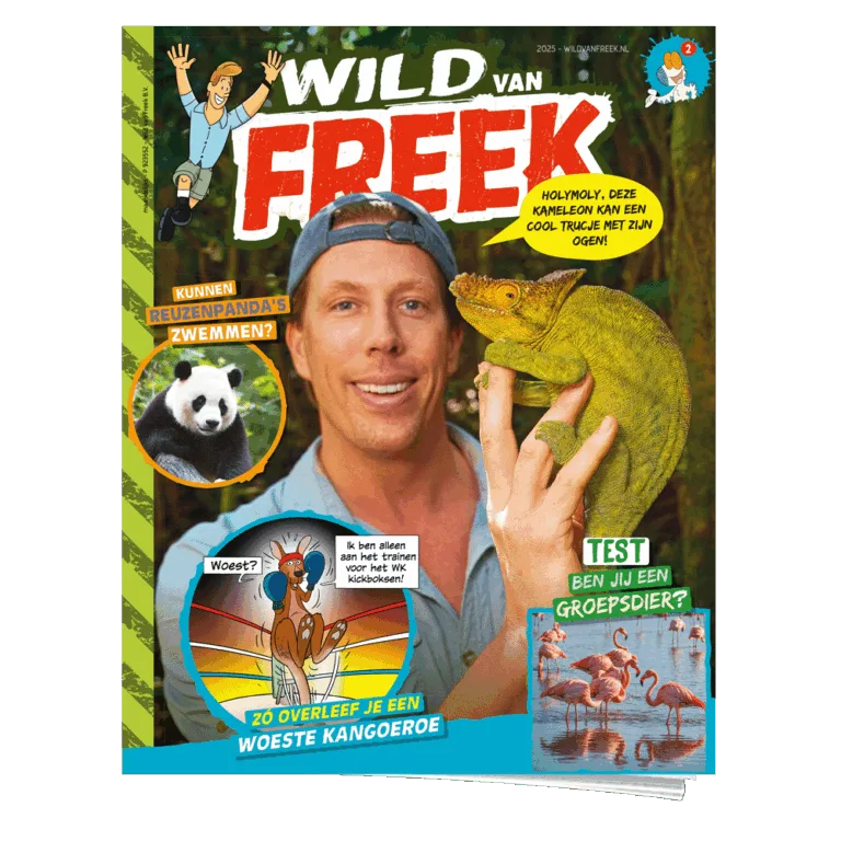 Wild van Freek 2 | Kameleon