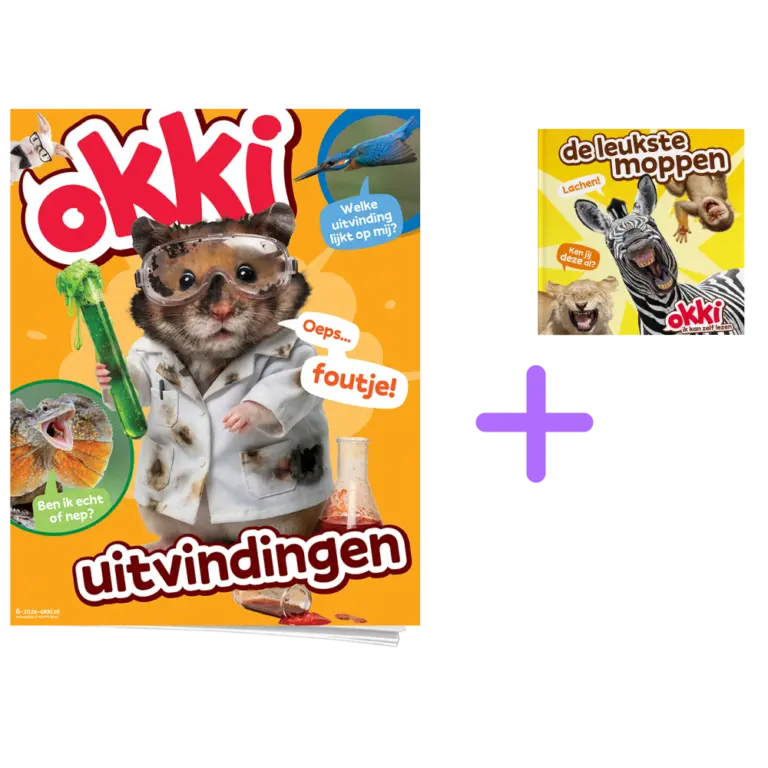 Okki | Basis abonnement