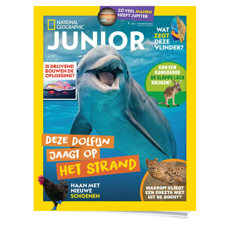 National Geographic Junior 7 | Dolfijn