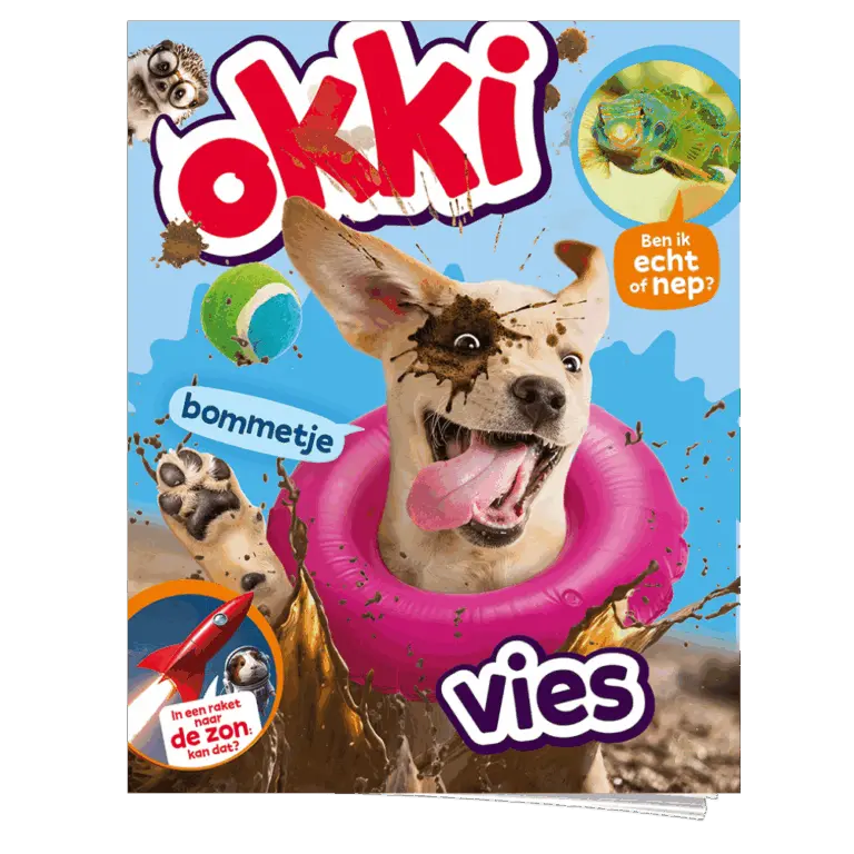 Okki | 2-Jaar Basis Abonnement