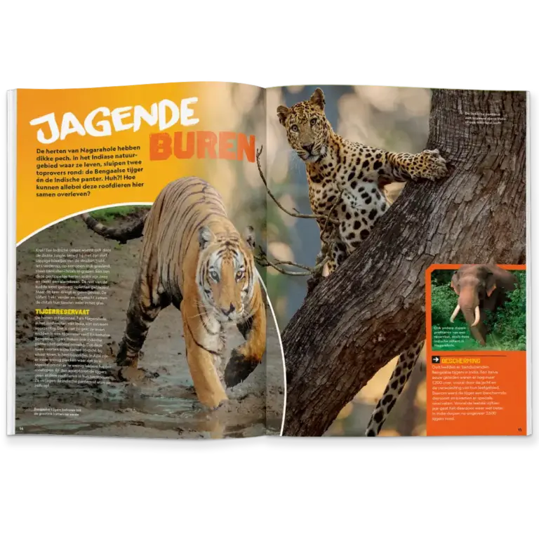 NGJ inkijkje in het tijdschrift