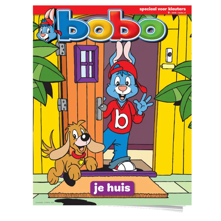 Bobo | 2-Jaar Basis Abonnement