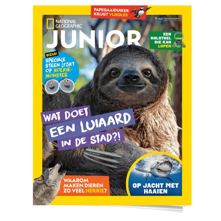 Nat Geo Junior | Basis Abonnement