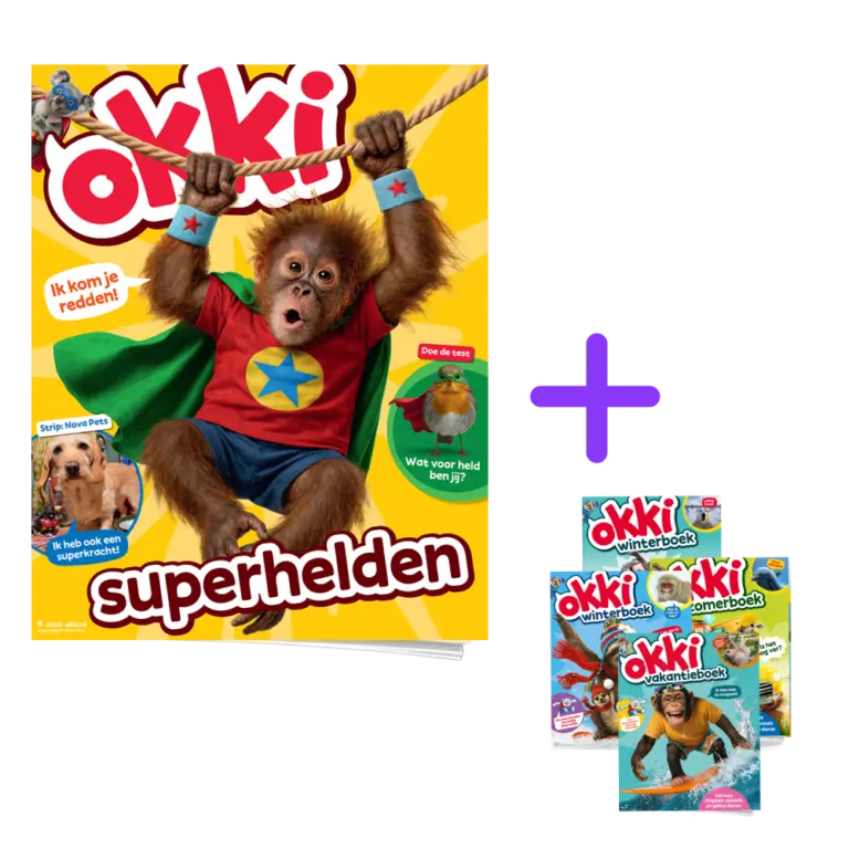 Okki | 2-Jaar Extra Abonnement