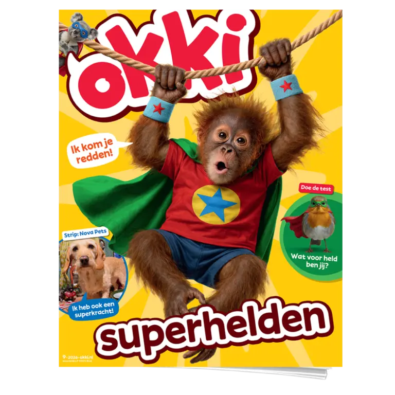 Okki | Basis Abonnement