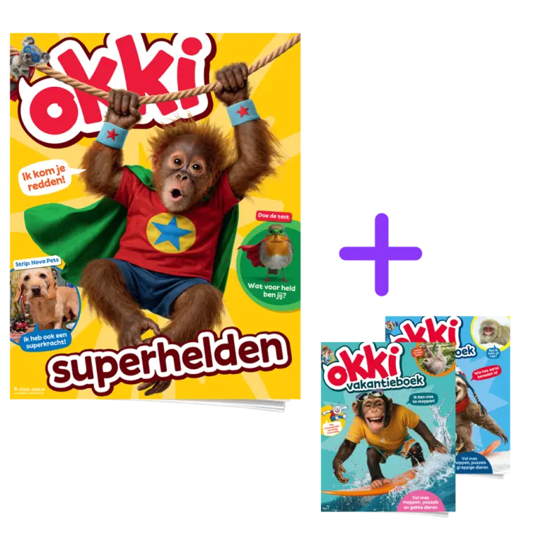 Okki | Extra Abonnement