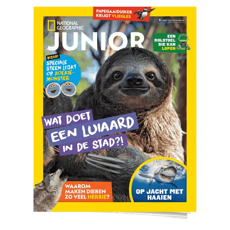 Nat Geo Junior 9 | Luiaard