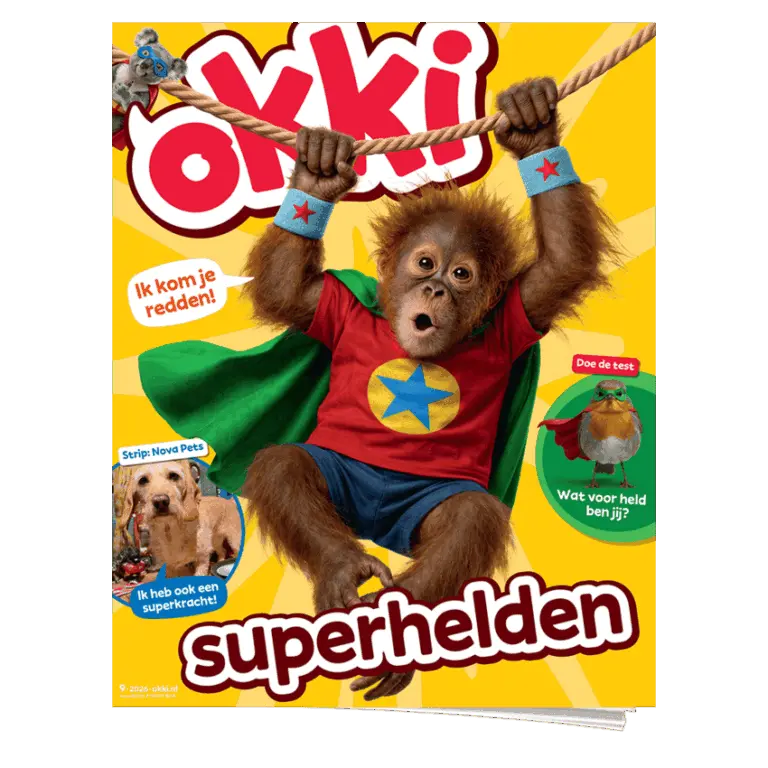 Okki 9 | Superhelden