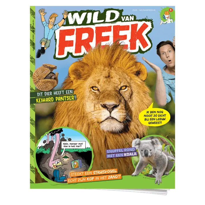 Wild van Freek 9 | Leeuw