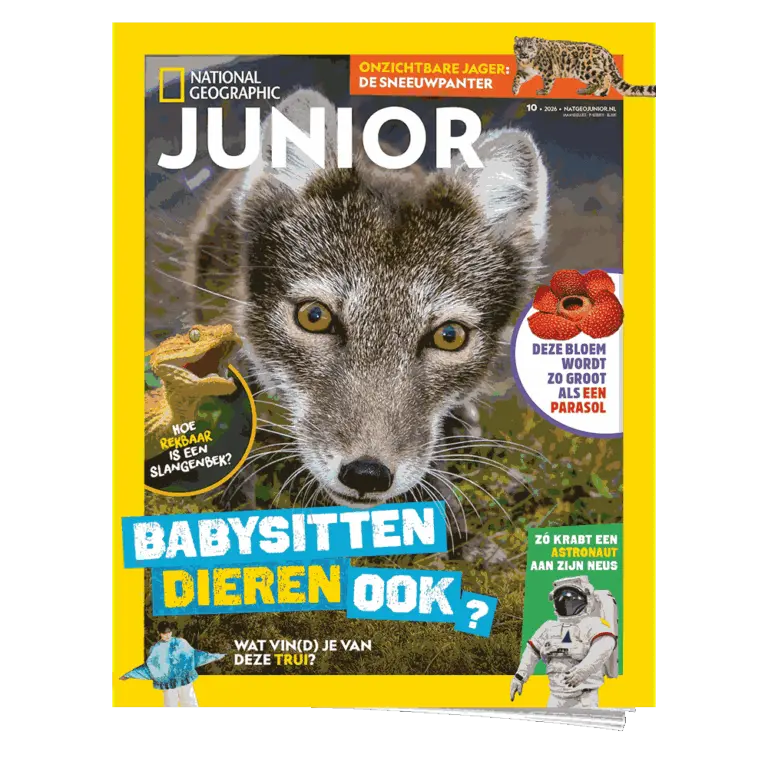 Nat Geo Junior 10 | Poolvos